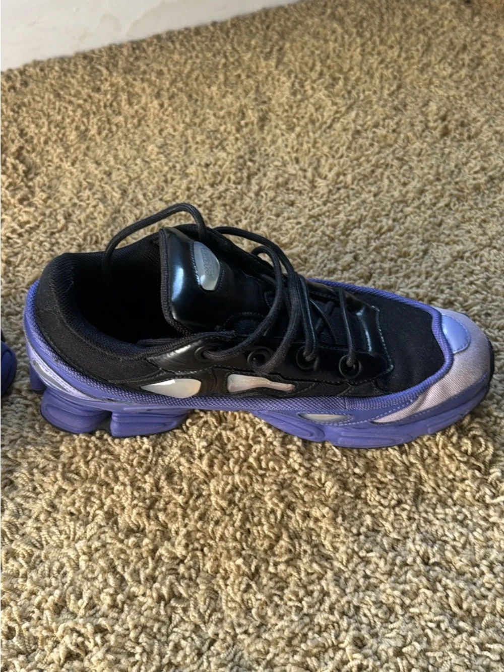 Adidas Raf Simons Ozweego 3